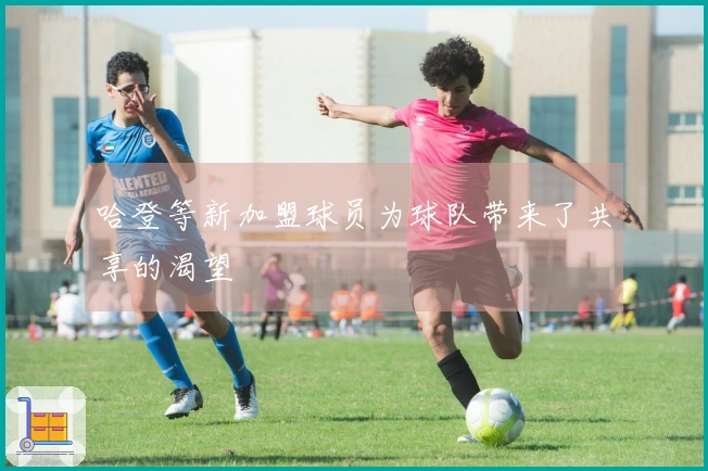 哈登等新加盟球员为球队带来了共享的渴望